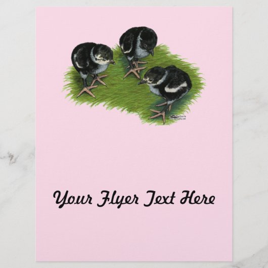 キジの黒い雛 チラシ (正面)