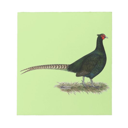 キジの黒鶏 ノートパッド (正面)