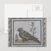 キジを描いた歩道 ポストカード (正面/裏面)