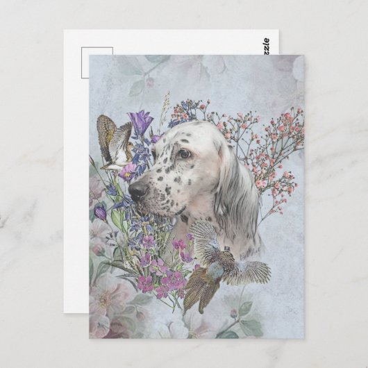 キジ付きイギリスのセッター、アートハガキ ポストカード (正面/裏面)