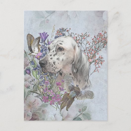 キジ付きイギリスのセッター、アートハガキ ポストカード (正面)