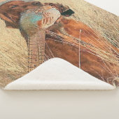 キジ付アイリッシュセッター シェルパブランケット (3/4)