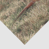 キジ写真 薄葉紙 (詳細)