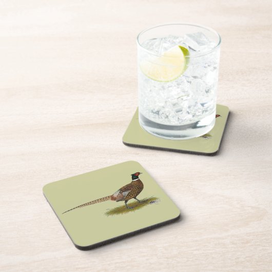 キジ屋 コースター (右側)