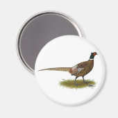 キジ屋 マグネット (正面/裏面)