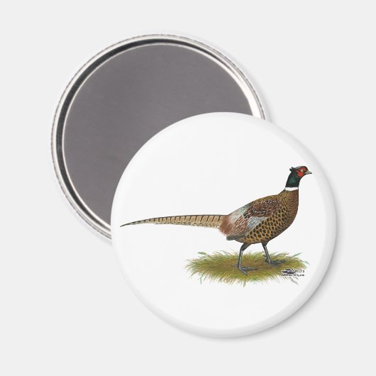 キジ屋 マグネット (正面/裏面)