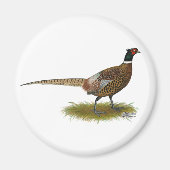 キジ屋 マグネット (正面)