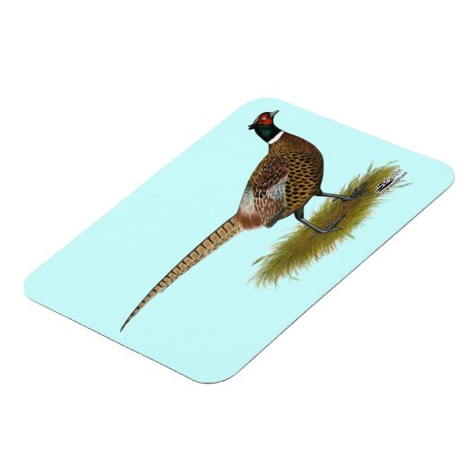 キジ屋 マグネット (左側)