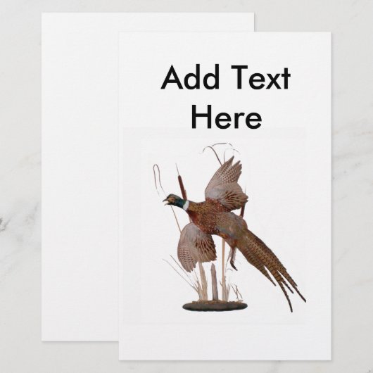 キジ山 (正面/裏面)