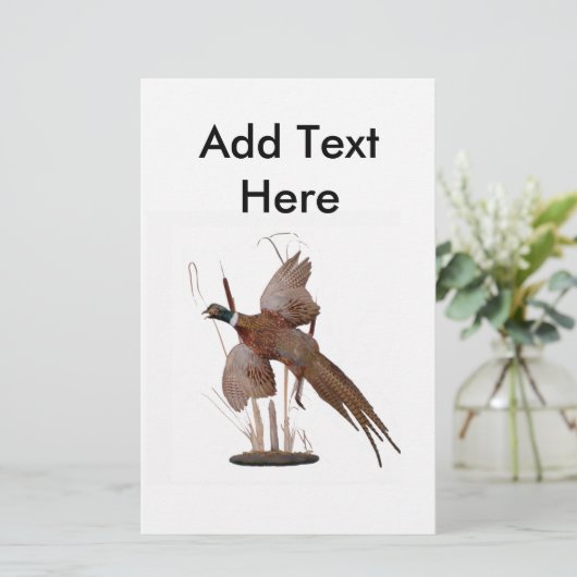 キジ山 (スタンド正面)