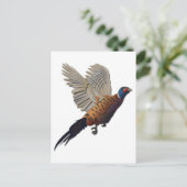 キジ抜き文字 ポストカード (スタンド正面)