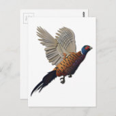 キジ抜き文字 ポストカード (正面/裏面)