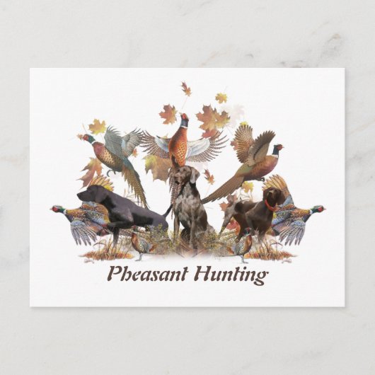キジ狩り ポストカード (正面)