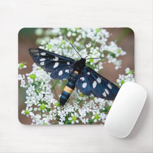 キジ目 マウスパッド (マウス)