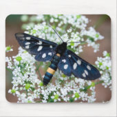 キジ目 マウスパッド (正面)