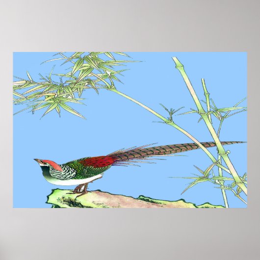 キジ立ポスタースケッチ7 ポスター (正面)