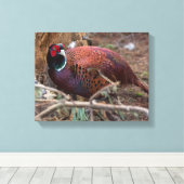 キジ自然撮影写真 キャンバスプリント (インサイチュ (ウッドフロア))