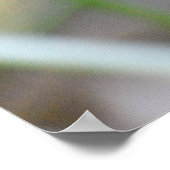 キジ鳥 ポスター (角)