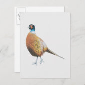 キジ2012 ポストカード (正面/裏面)