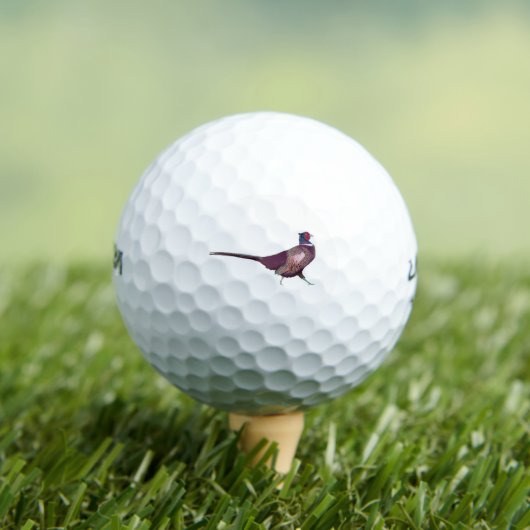 キジ ゴルフボール (インサイチュ 木)