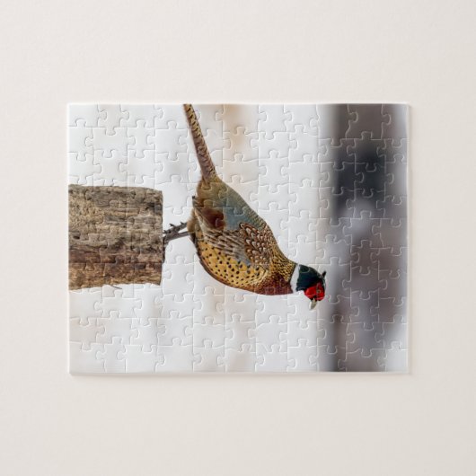キジ ジグソーパズル (横)