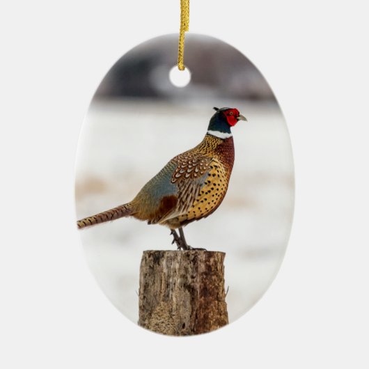 キジ セラミックオーナメント (正面)