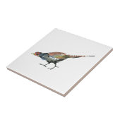 キジ タイル (側面)