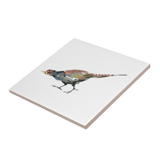 キジ タイル (側面)