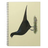 キジ ノートブック (正面)