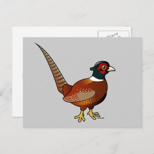 キジ ポストカード (正面/裏面)
