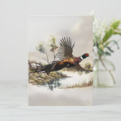 キジ 招待状 (スタンド正面)