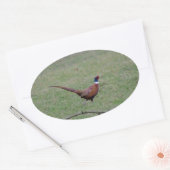 キジ 楕円形シール (封筒)