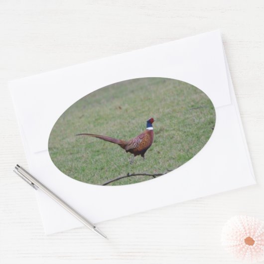 キジ 楕円形シール (封筒)