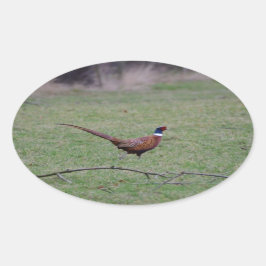 キジ 楕円形シール