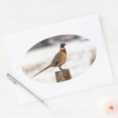 キジ 楕円形シール (封筒)