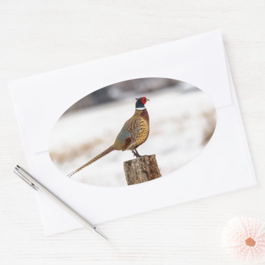 キジ 楕円形シール (封筒)