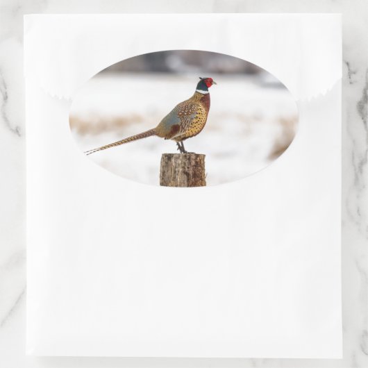 キジ 楕円形シール (バッグ)