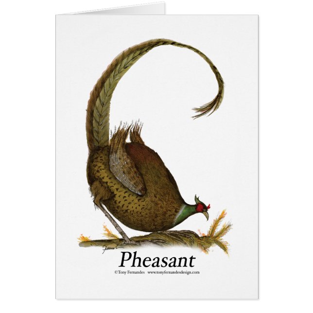 キジ、贅沢なfernandes (正面)