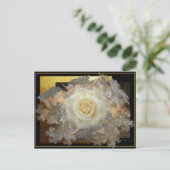 キスからのバラ ポストカード (スタンド正面)