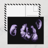 キスするチンパンジー ポストカード (正面/裏面)