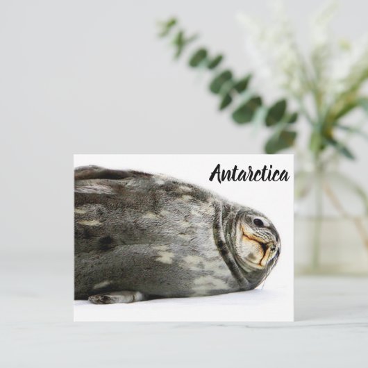 『キスで封印』 ポストカード (スタンド正面)