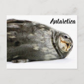 『キスで封印』 ポストカード (正面)