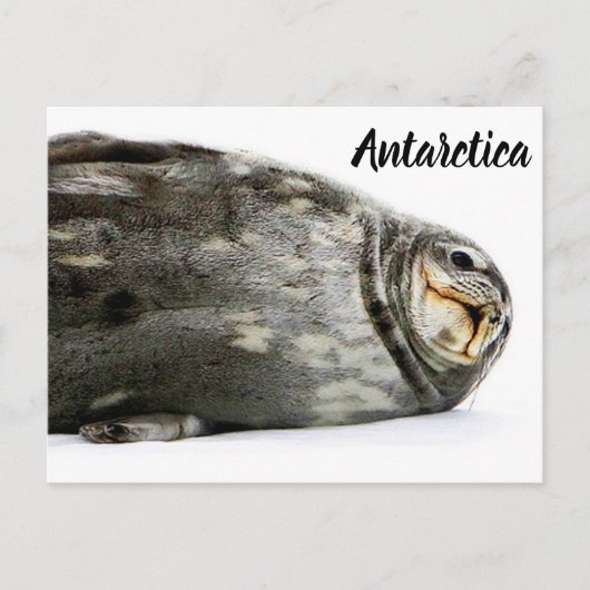 『キスで封印』 ポストカード (正面)