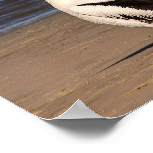 「キスとメイクアップ」ペリカンビーチ ポスター (角)