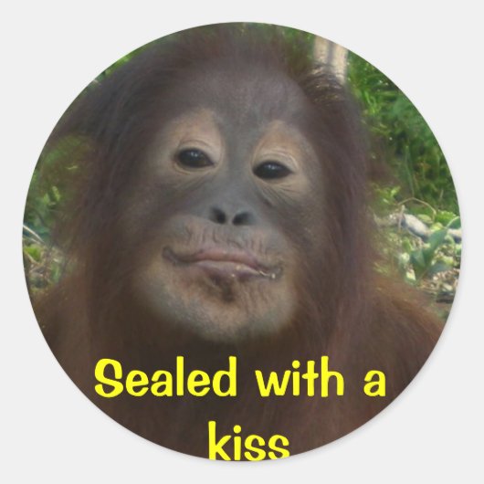 キスと密封される ラウンドシール (正面)