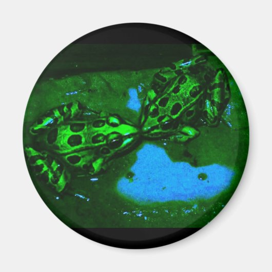 キスのようなカエル マグネット (正面)