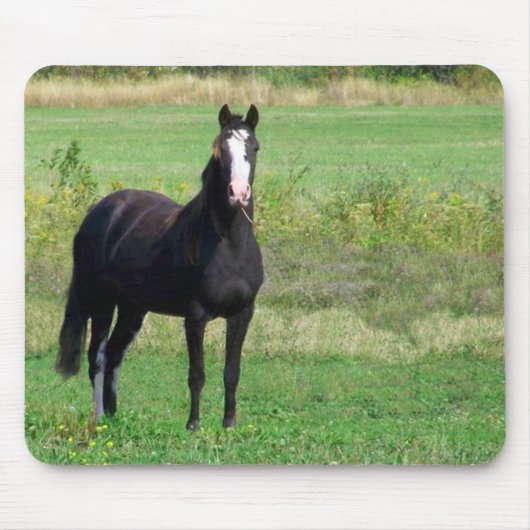 キスのマウスパッド マウスパッド (正面)