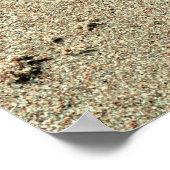 キスの砂の足跡の砂 ポスター (角)