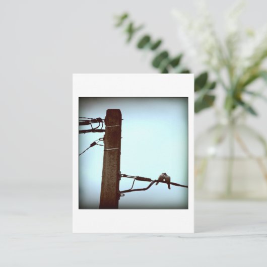 キスはがき ポストカード (スタンド正面)