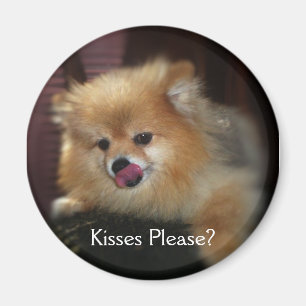 キスは喜ばしますか。 磁石